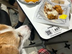 -北村韩屋韩式炸鸡(简阳吉利学院店)