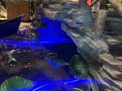 -城墙拐拐火锅(三峡广场黑金冠店)