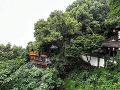 -南山植物园