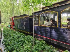 -合肥滨湖国家森林公园