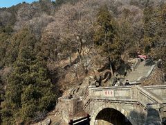 -泰山风景名胜区