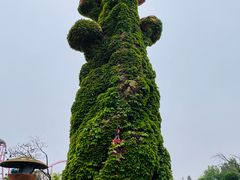 -大连海昌发现王国主题公园