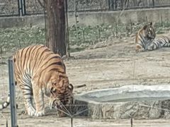 -秦皇岛野生动物园