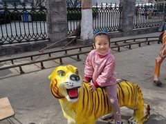 -裕华世纪公园
