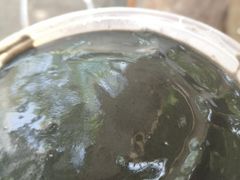 -鞠氏黑芝麻糊(水塔店)