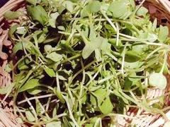 山泉水炖手工土猪肉丸子汤-老湘村·湖南土菜(天河维多利店)