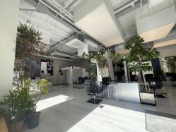 -Hair  Gallery