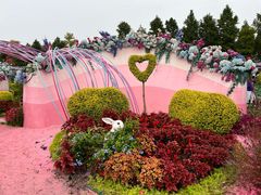 -荷兰花海