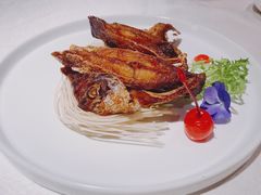 -皇朝会.经典传统粤菜(外滩店)