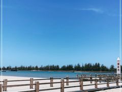 -东郊椰林
