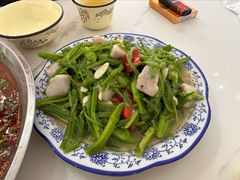 水性杨花-挖色菜香园(大理店)