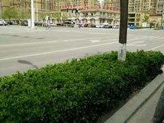 -兆丰海鲜烧烤涮自助(丰南总店)