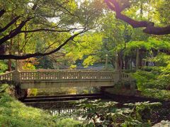 -叶家花园