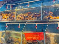 -船奇蒸汽海鲜·闽菜(八市海鲜总店)