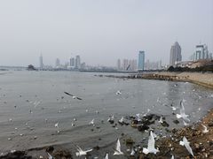 -青岛海尔洲际酒店