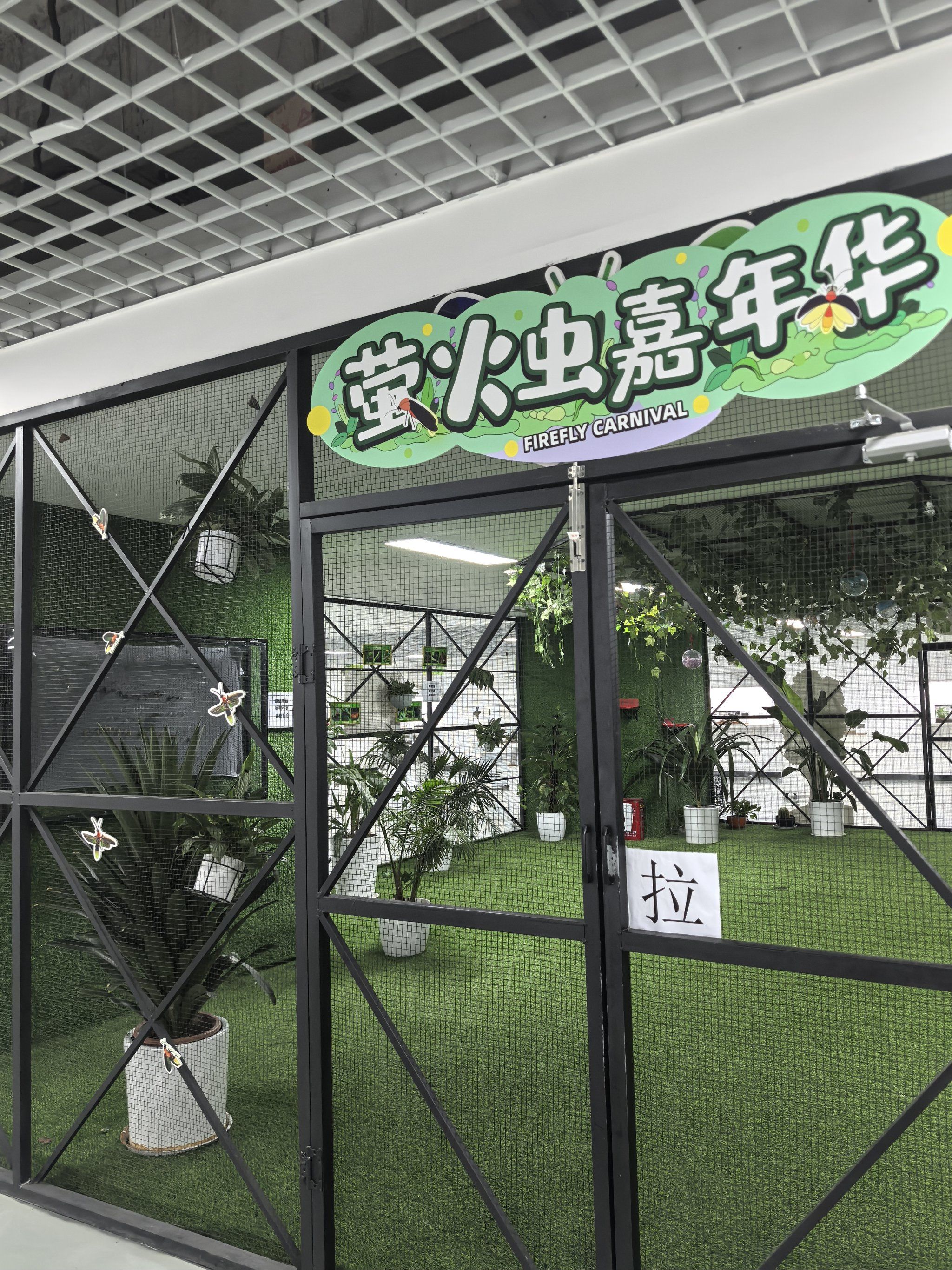 暑假遛娃|成都75这里可以跟昆虫0距离75