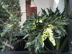 -gaga(深圳南山益田假日广场店)