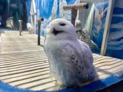 -成都浩海立方海洋公园