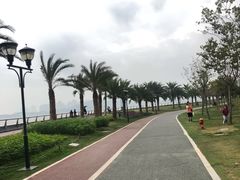 -野狸岛