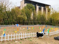 -上海崇明金茂凯悦酒店