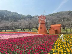 -苏州上方山国家森林公园