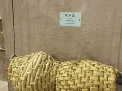 -东北民族民俗博物馆