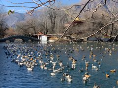 -宗角禄康公园