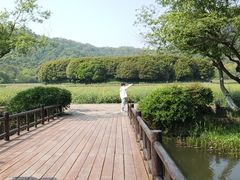-八卦田遗址公园