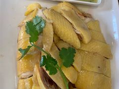 -巫记鸡饭店