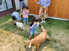 -太阳岛度假酒店