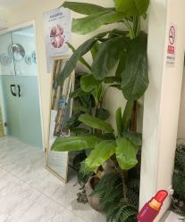 -健身堂科技美肌SPA