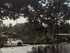 -成飞公园