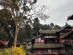 -都江堰普照寺