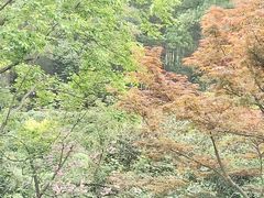 -杭州黄龙洞