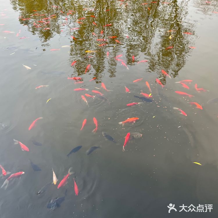 秋水共长天一色