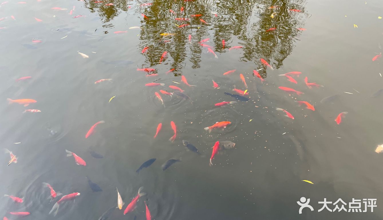 秋水共长天一色