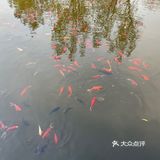 秋水共长天一色