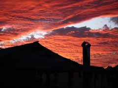 -YLK云南小粒咖啡·云里咖(二号店)