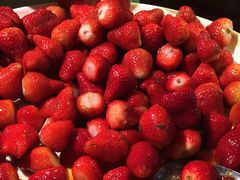 -老炳·七丛松甘草水果