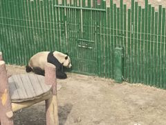 -沈阳森林动物园