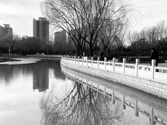 -莲花池公园