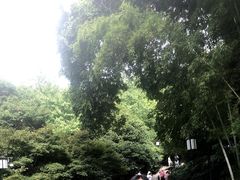 -岳麓山风景名胜区