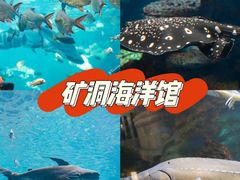 -长鹿旅游休博园