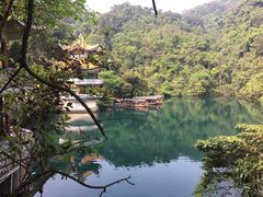 -鼎湖山风景区