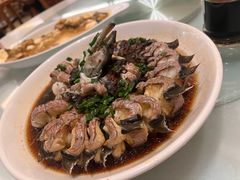 -华盛丰温州大排档(东三环南路店)