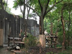 景点-成都大熊猫繁育研究基地
