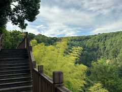 -铁山坪森林公园