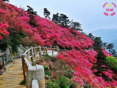 -木兰云雾山