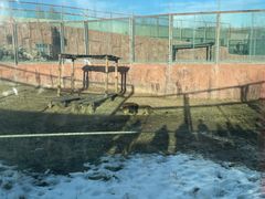 -鄂尔多斯野生动物园