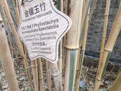 -梅园